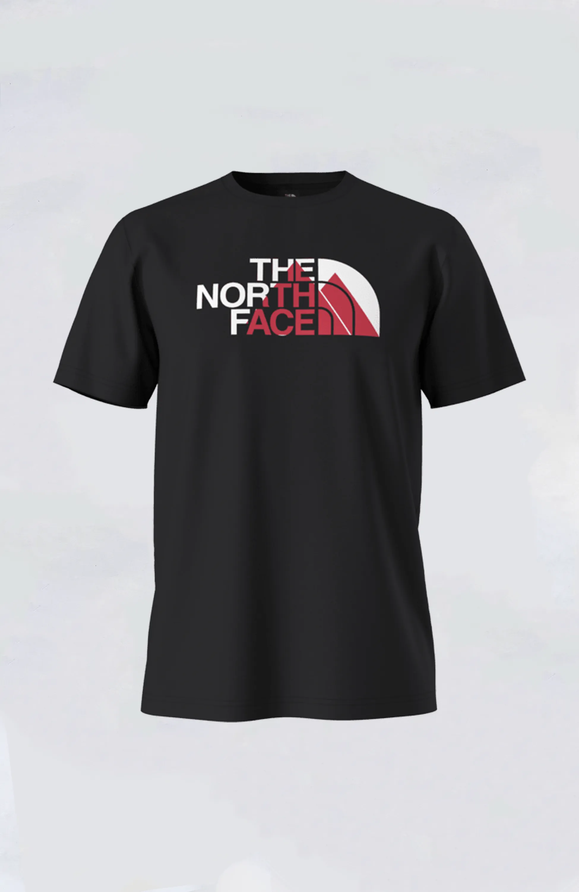 The North Face - Men's Biner Graphic 1 Tee